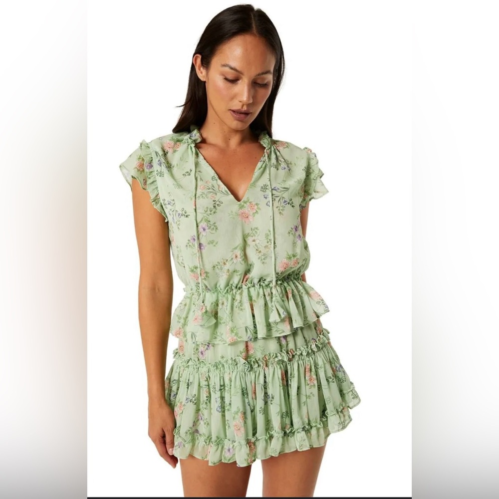 NWT Misa Los Angeles, Lillian dress. Size large.